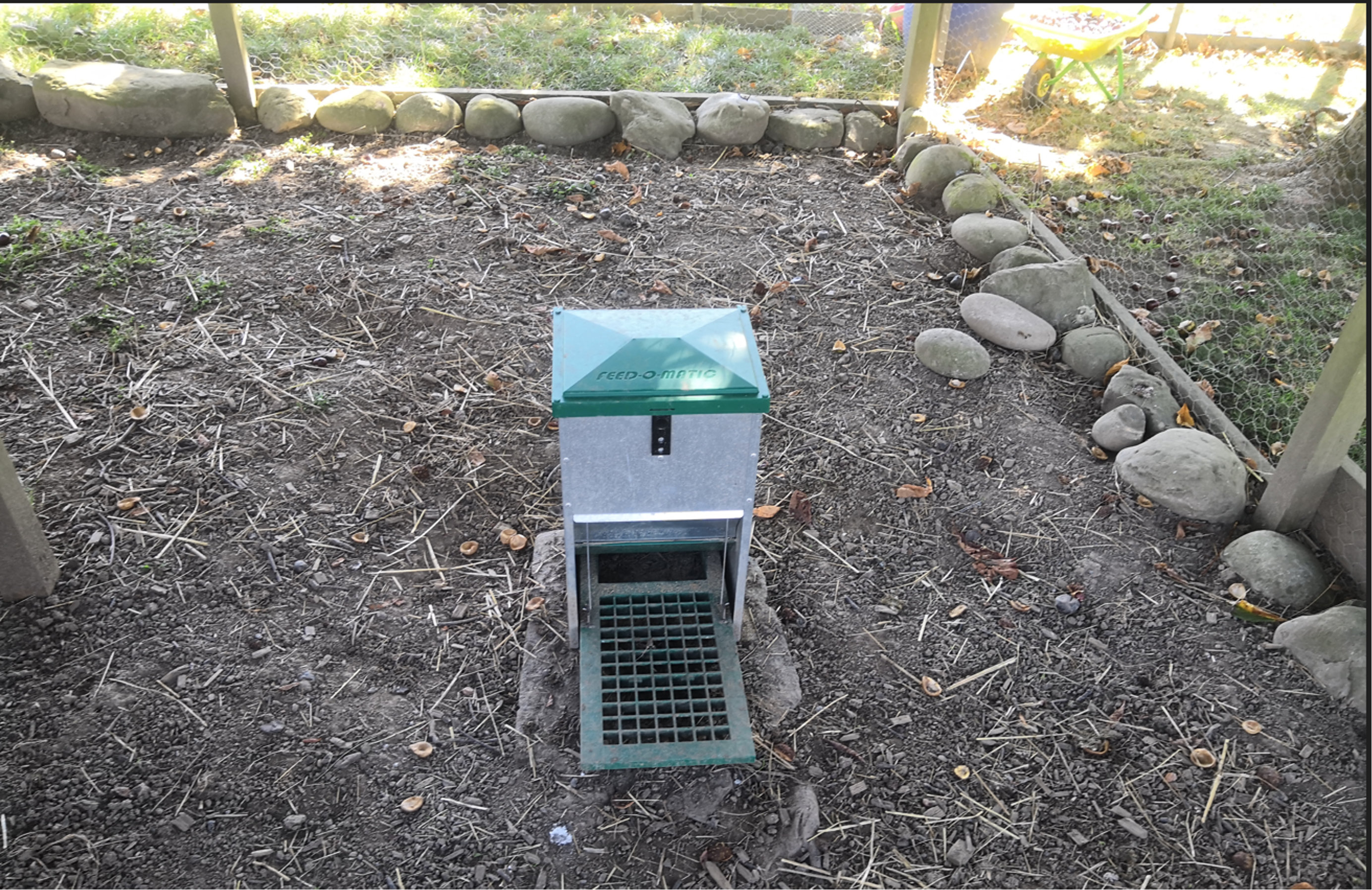 recinto della voliera