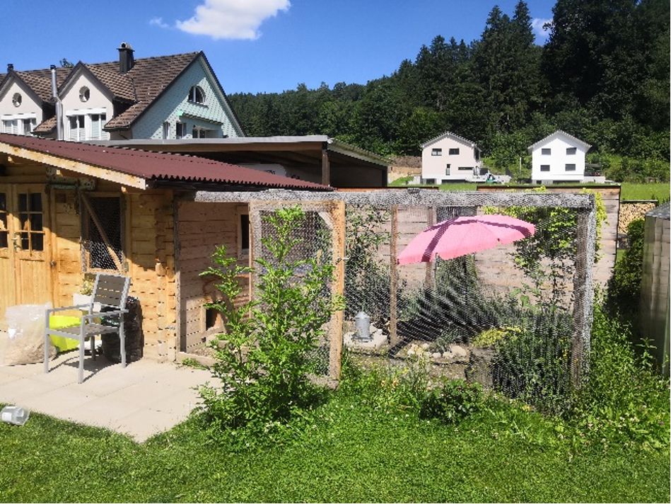 giardino d’inverno